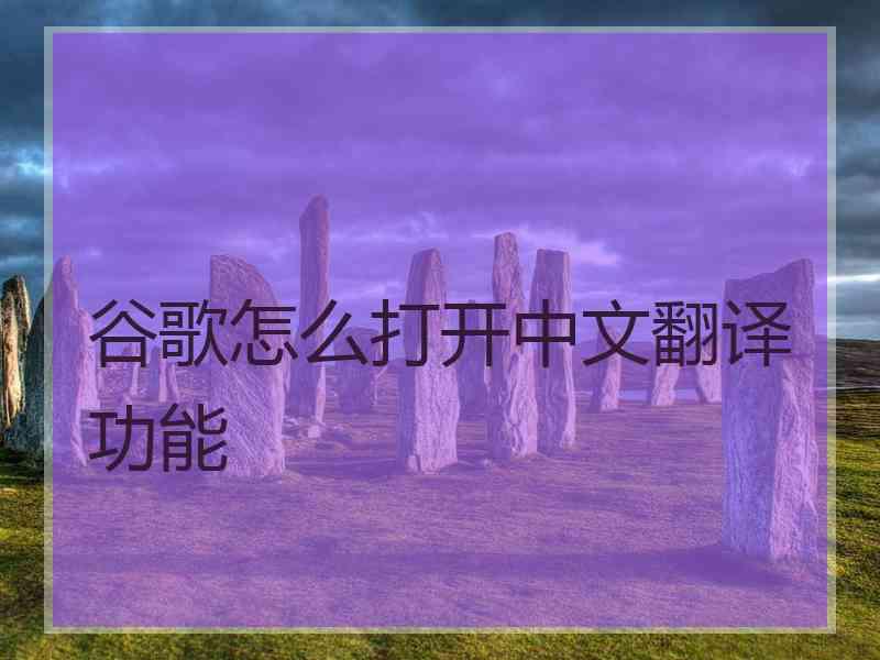 谷歌怎么打开中文翻译功能
