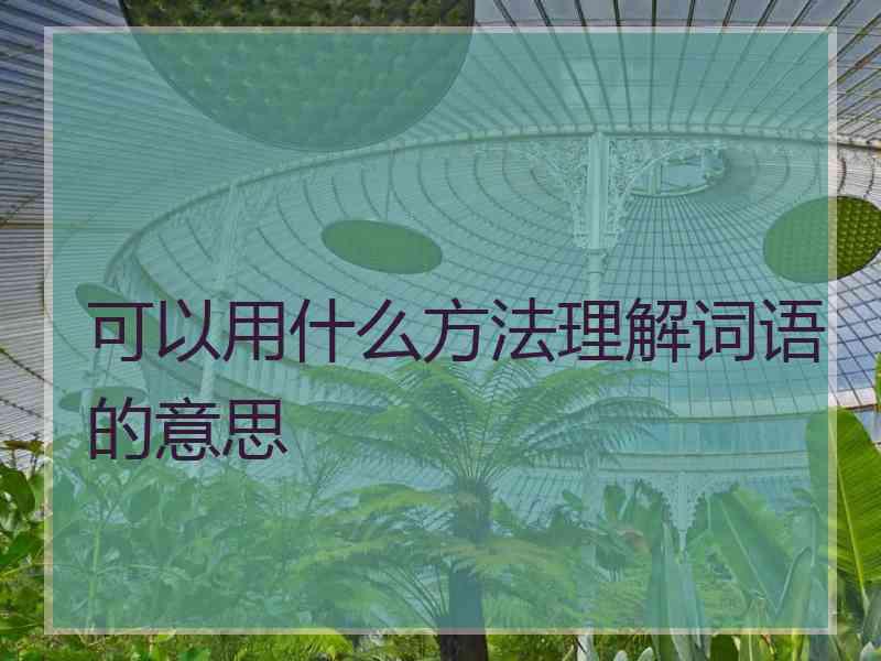 可以用什么方法理解词语的意思
