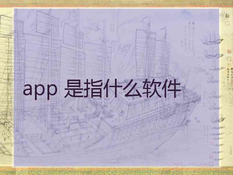 app 是指什么软件