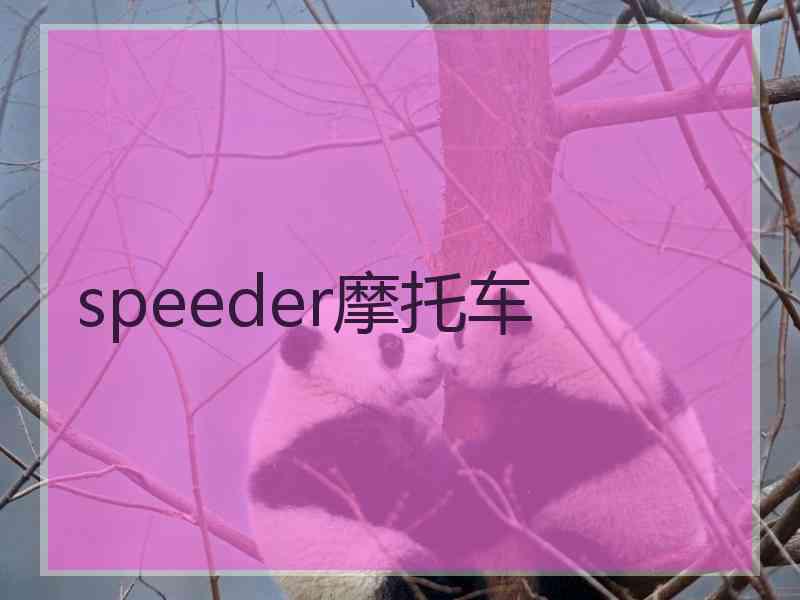 speeder摩托车