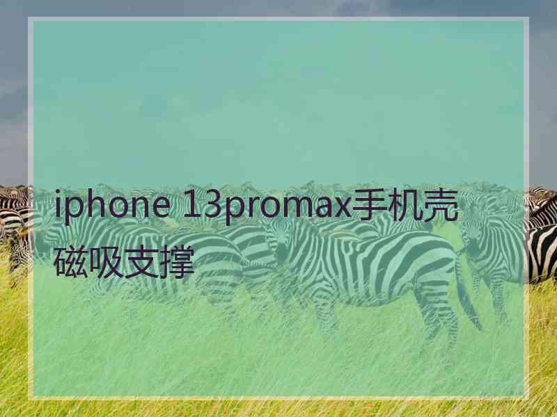 iphone 13promax手机壳磁吸支撑