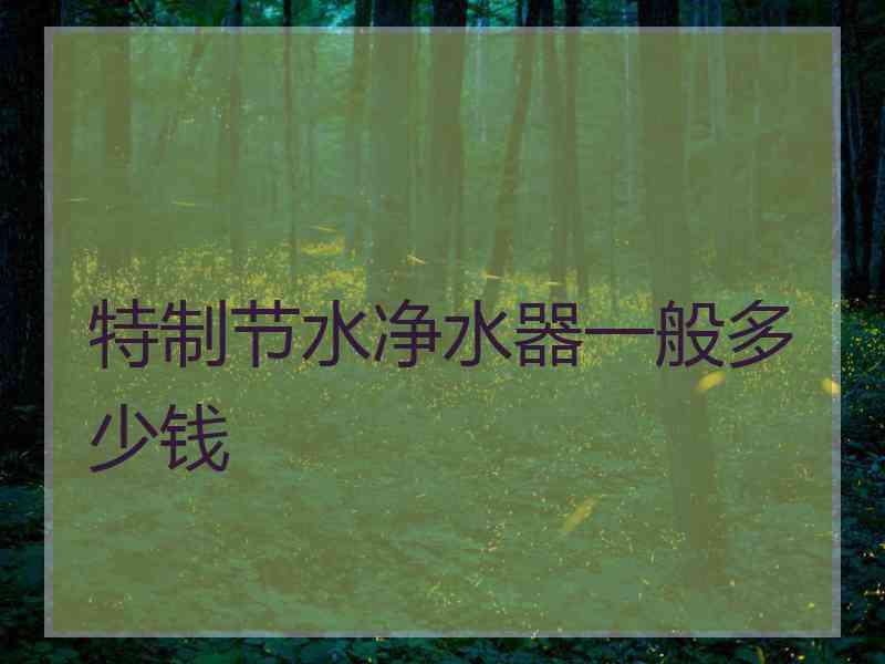 特制节水净水器一般多少钱