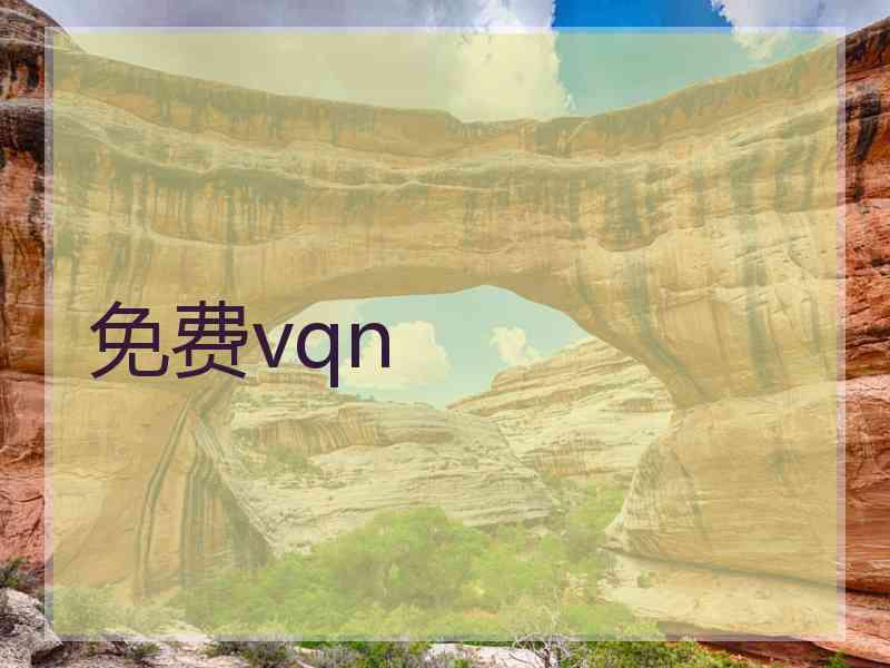 免费vqn
