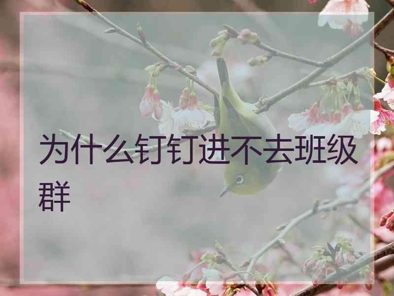 为什么钉钉进不去班级群