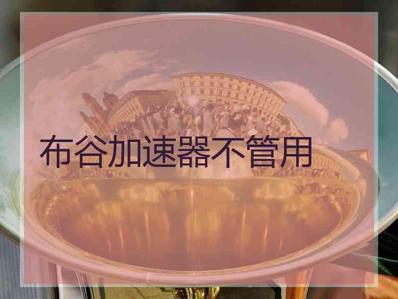 布谷加速器不管用