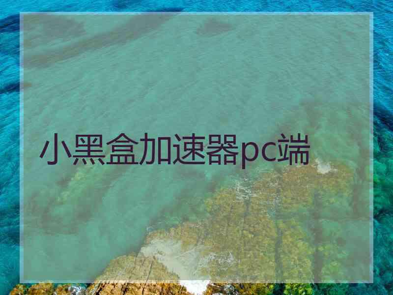 小黑盒加速器pc端