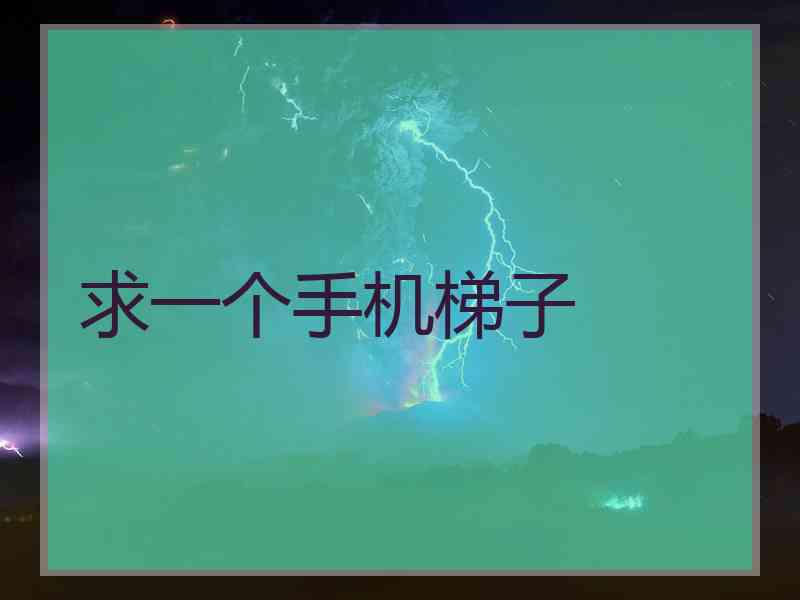 求一个手机梯子