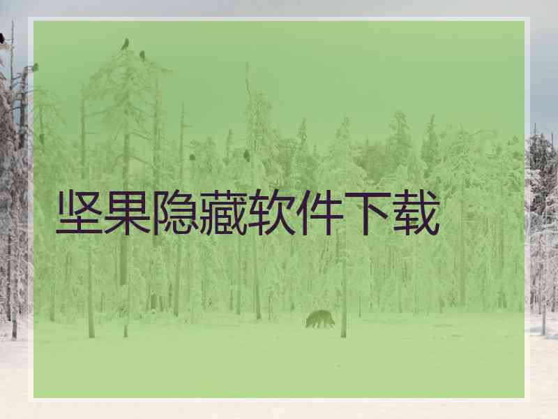 坚果隐藏软件下载