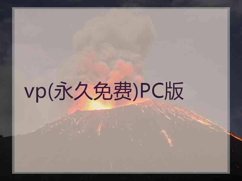 vp(永久免费)PC版