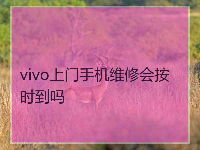 vivo上门手机维修会按时到吗