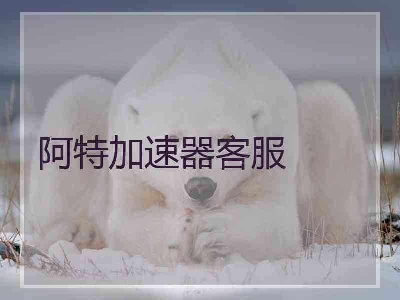 阿特加速器客服