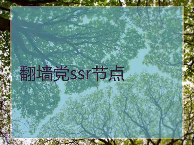 翻墙党ssr节点
