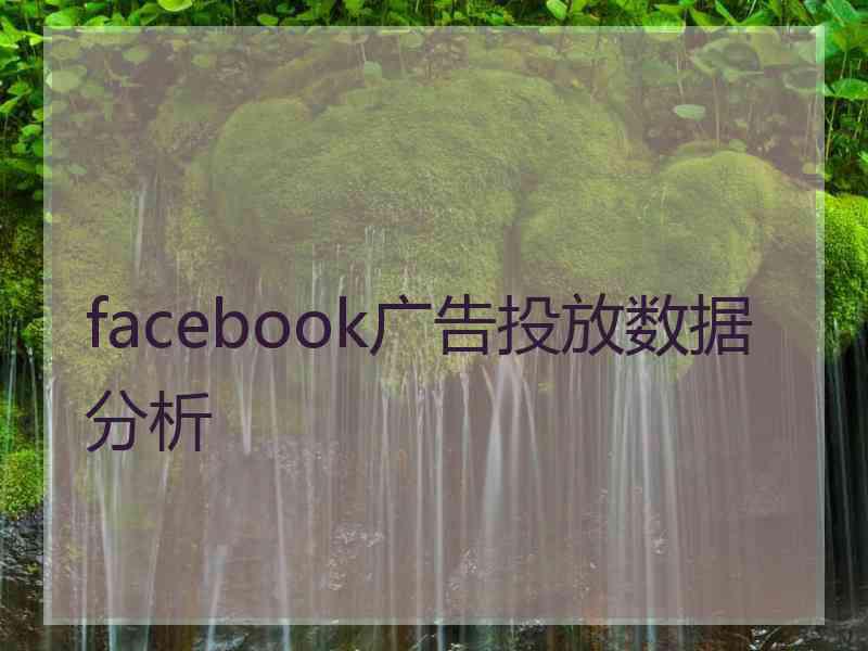 facebook广告投放数据分析