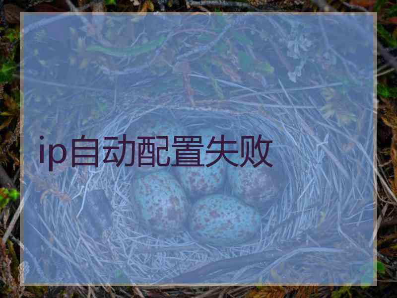 ip自动配置失败