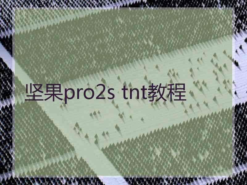 坚果pro2s tnt教程