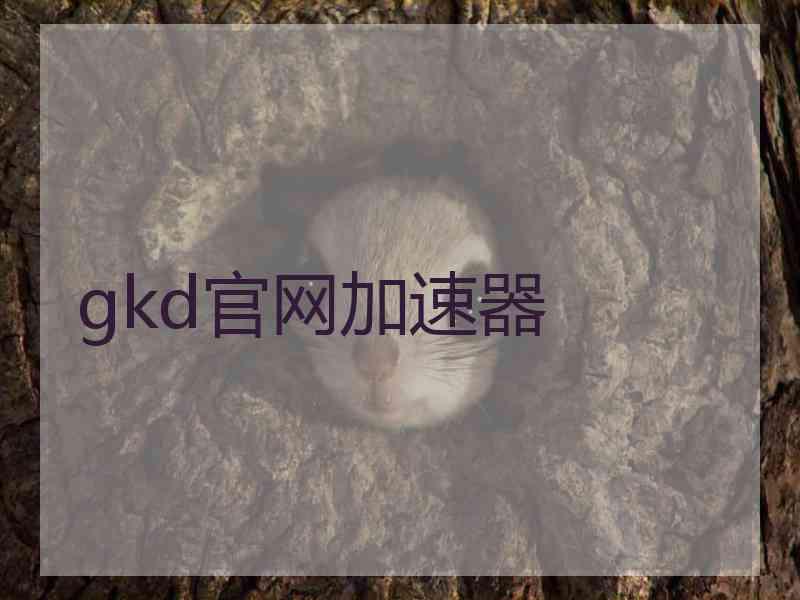 gkd官网加速器