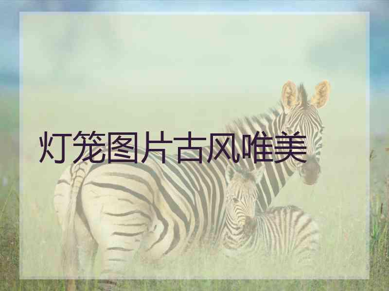 灯笼图片古风唯美