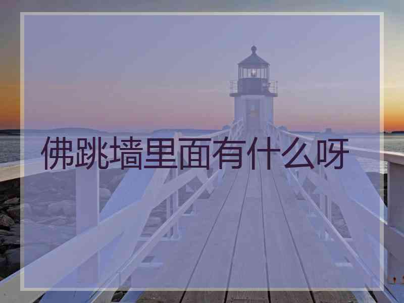 佛跳墙里面有什么呀