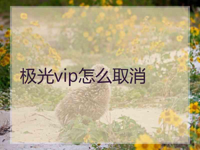 极光vip怎么取消
