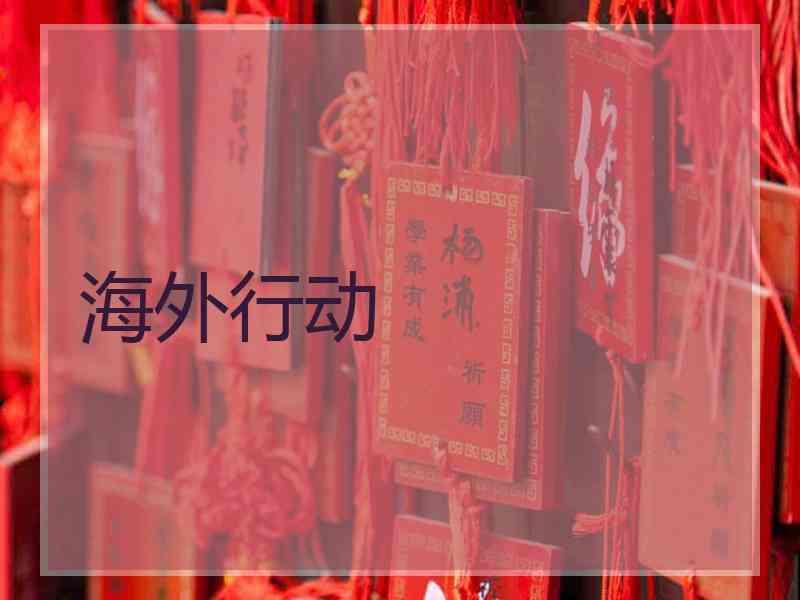海外行动