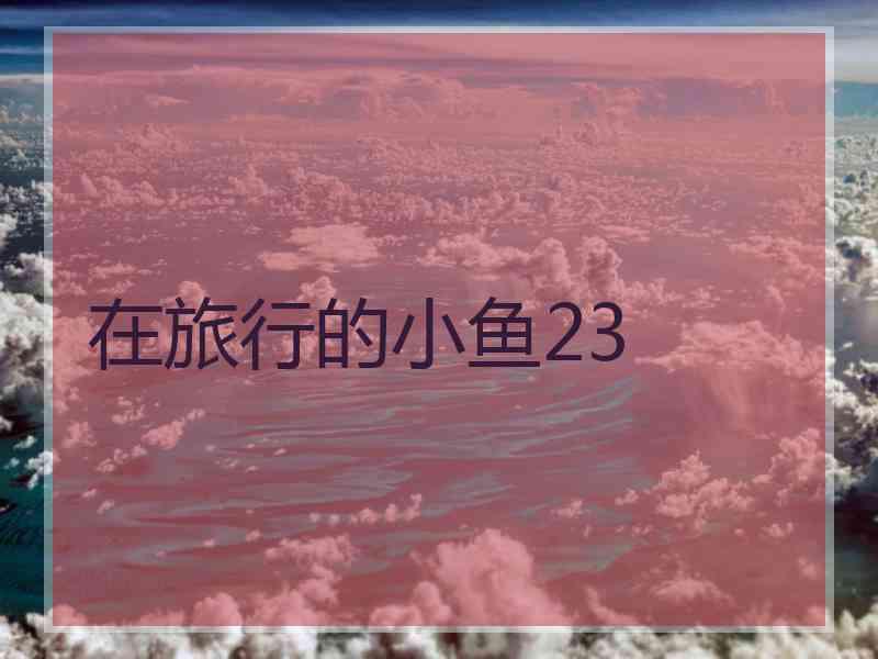 在旅行的小鱼23