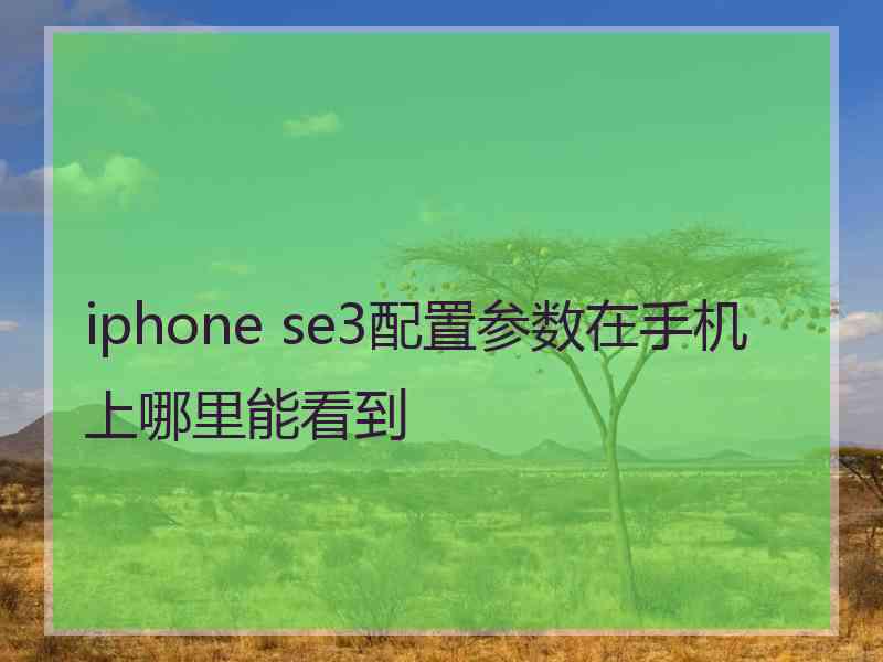 iphone se3配置参数在手机上哪里能看到