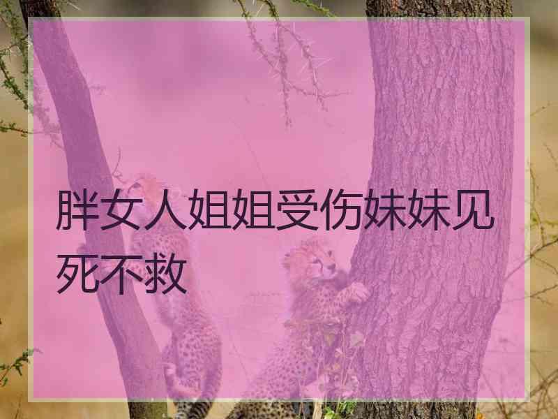 胖女人姐姐受伤妹妹见死不救
