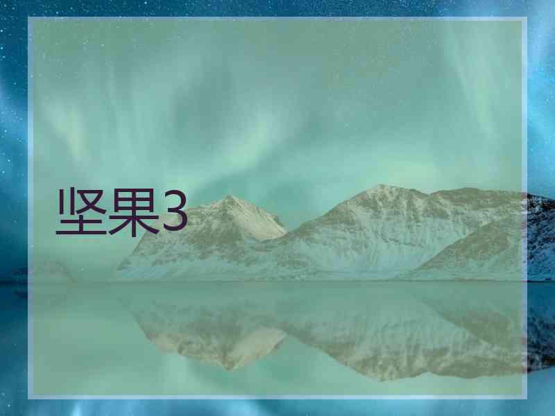 坚果3