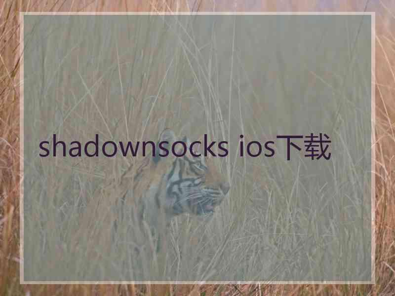 shadownsocks ios下载