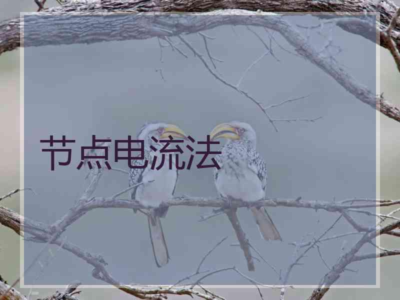 节点电流法