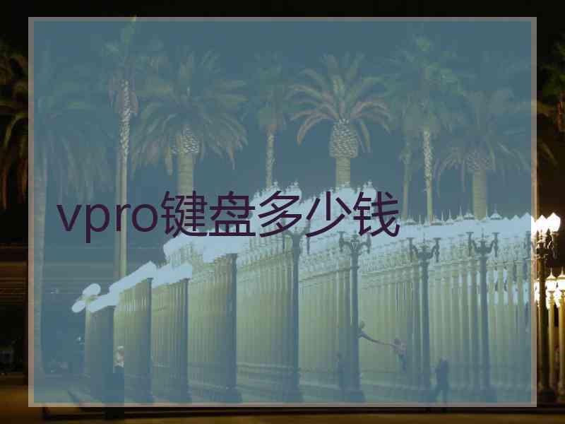 vpro键盘多少钱