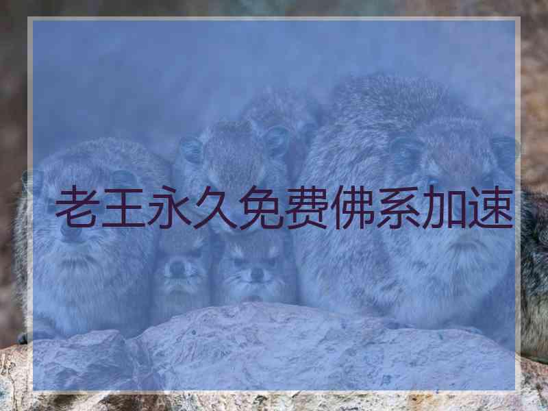 老王永久免费佛系加速