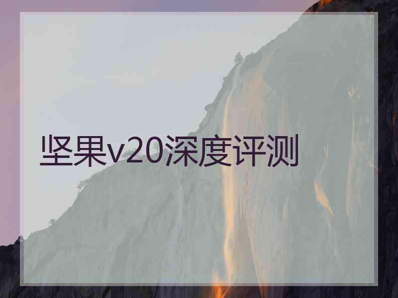 坚果v20深度评测