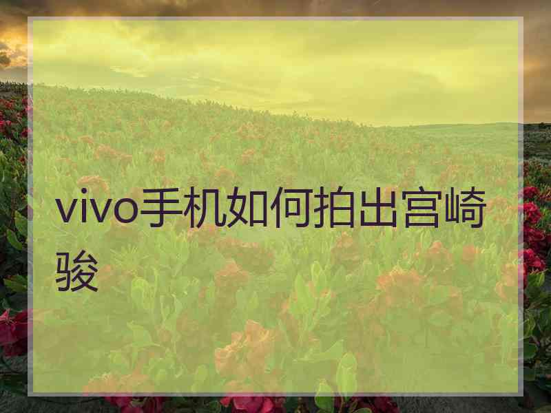 vivo手机如何拍出宫崎骏