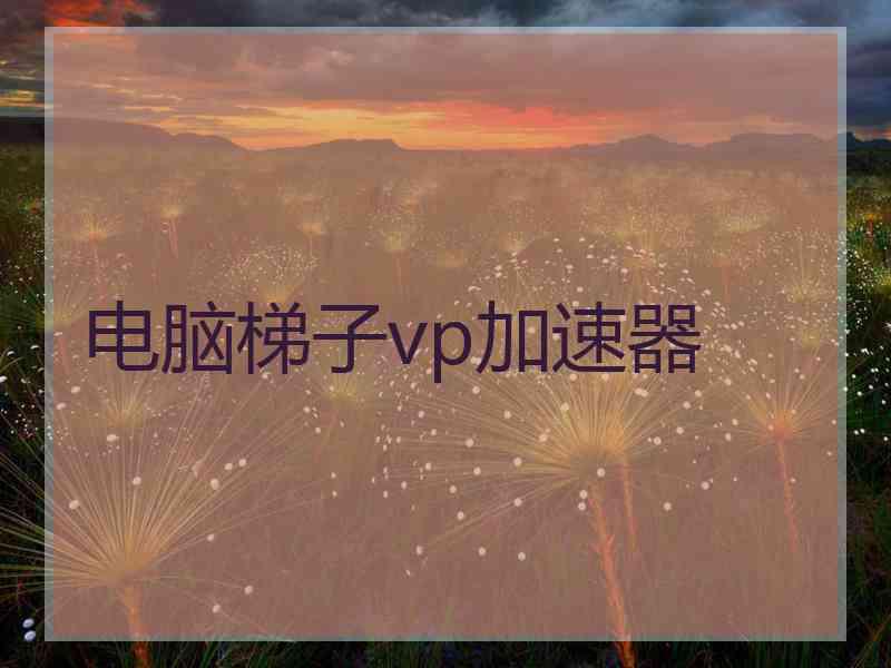 电脑梯子vp加速器