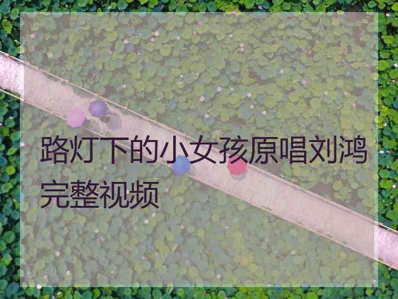 路灯下的小女孩原唱刘鸿完整视频