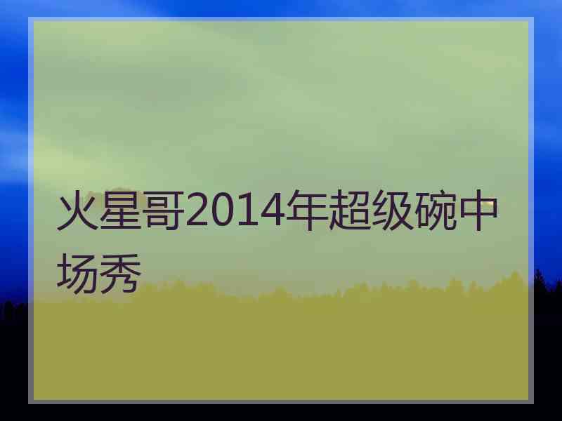火星哥2014年超级碗中场秀