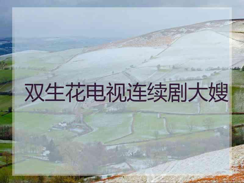 双生花电视连续剧大嫂