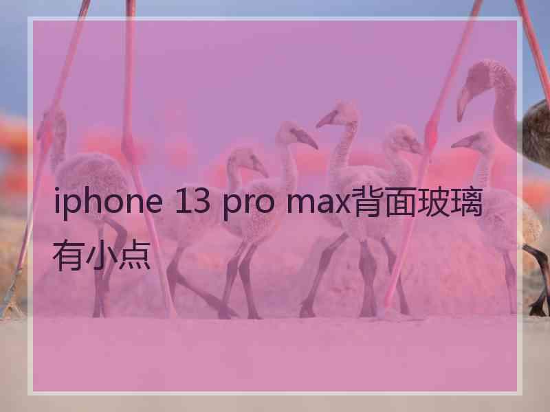 iphone 13 pro max背面玻璃有小点