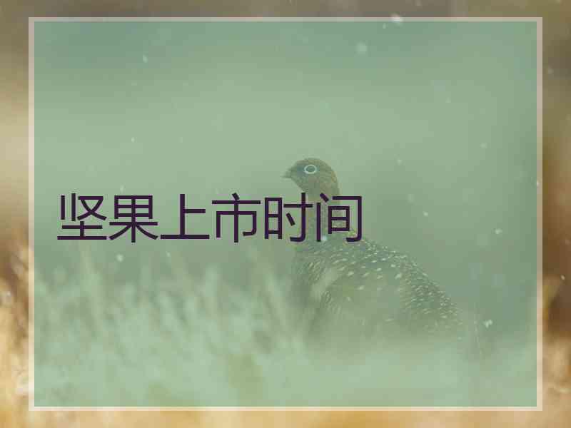 坚果上市时间