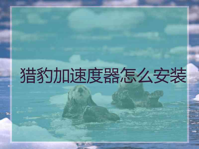 猎豹加速度器怎么安装
