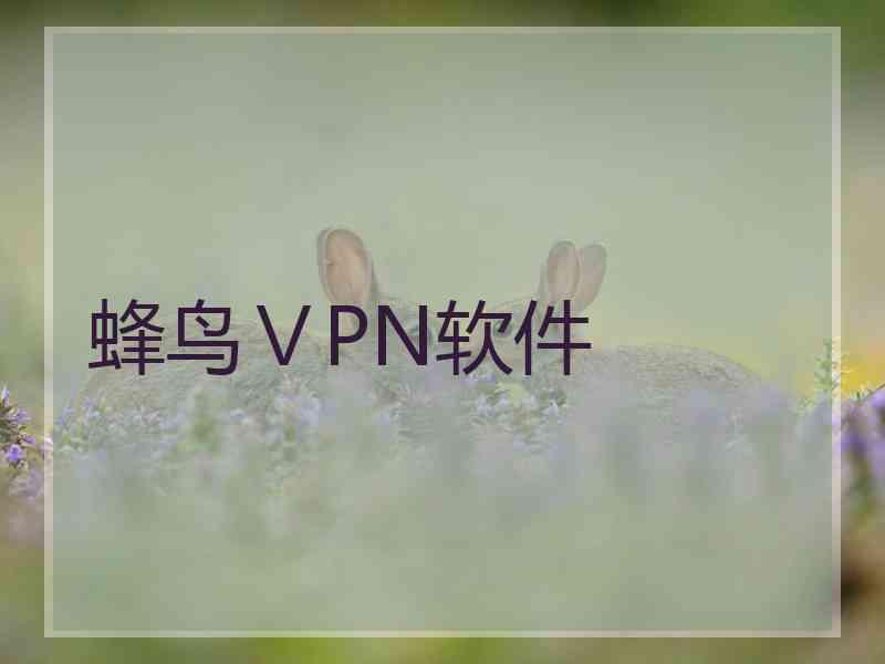 蜂鸟ⅤPN软件