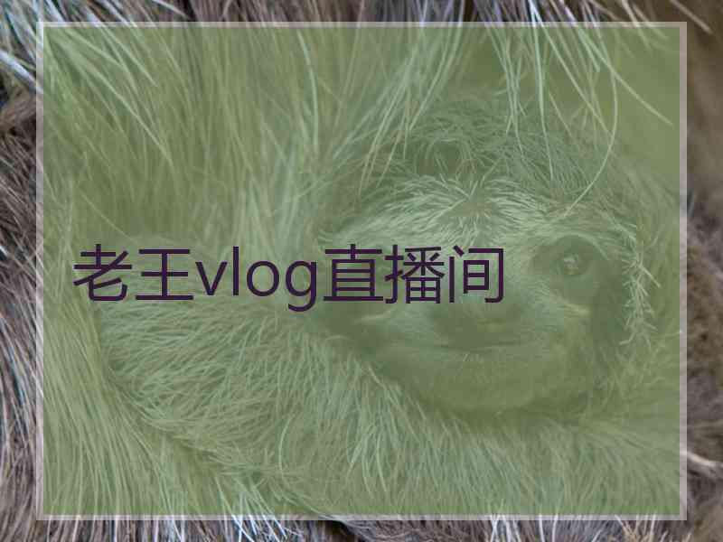 老王vlog直播间