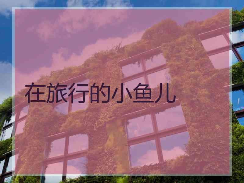 在旅行的小鱼儿
