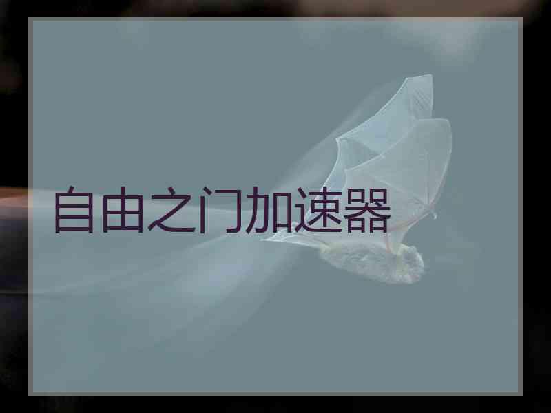 自由之门加速器
