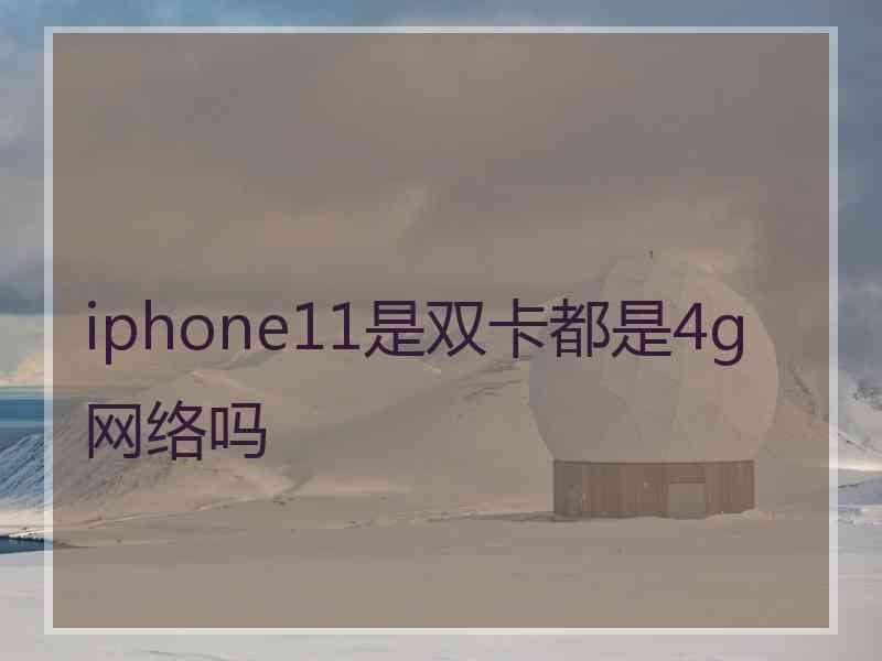 iphone11是双卡都是4g网络吗