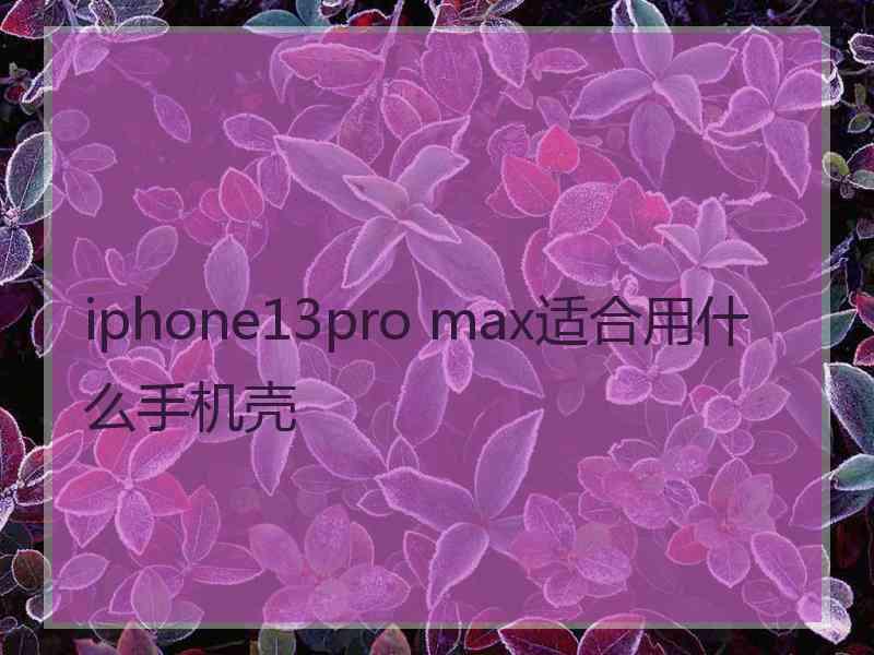 iphone13pro max适合用什么手机壳