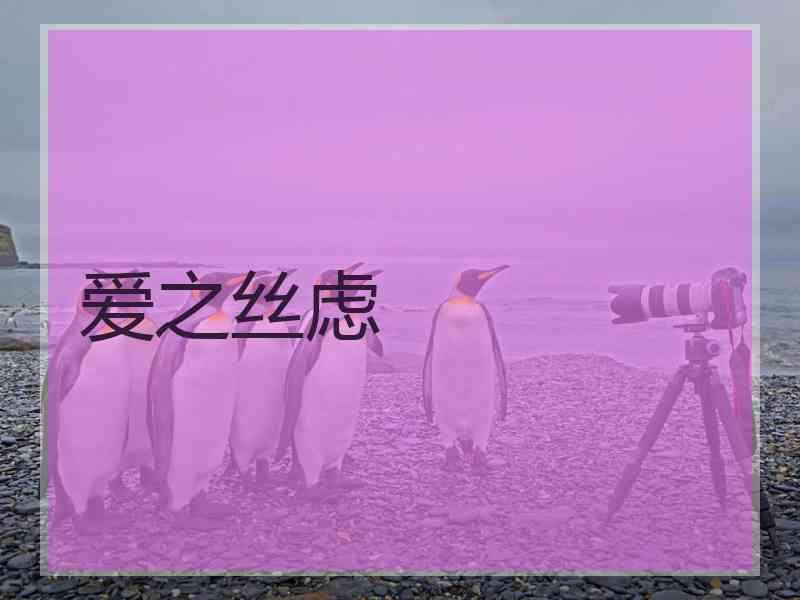 爱之丝虑