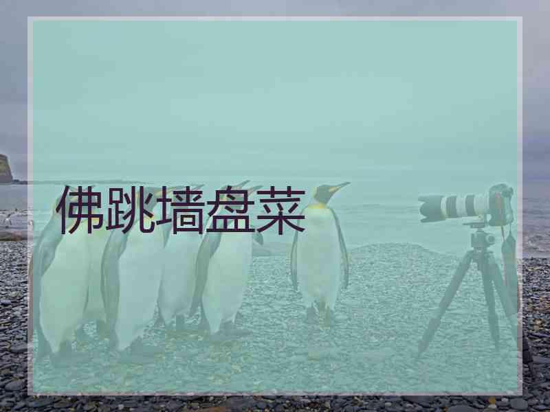 佛跳墙盘菜