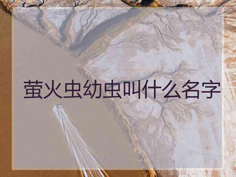 萤火虫幼虫叫什么名字